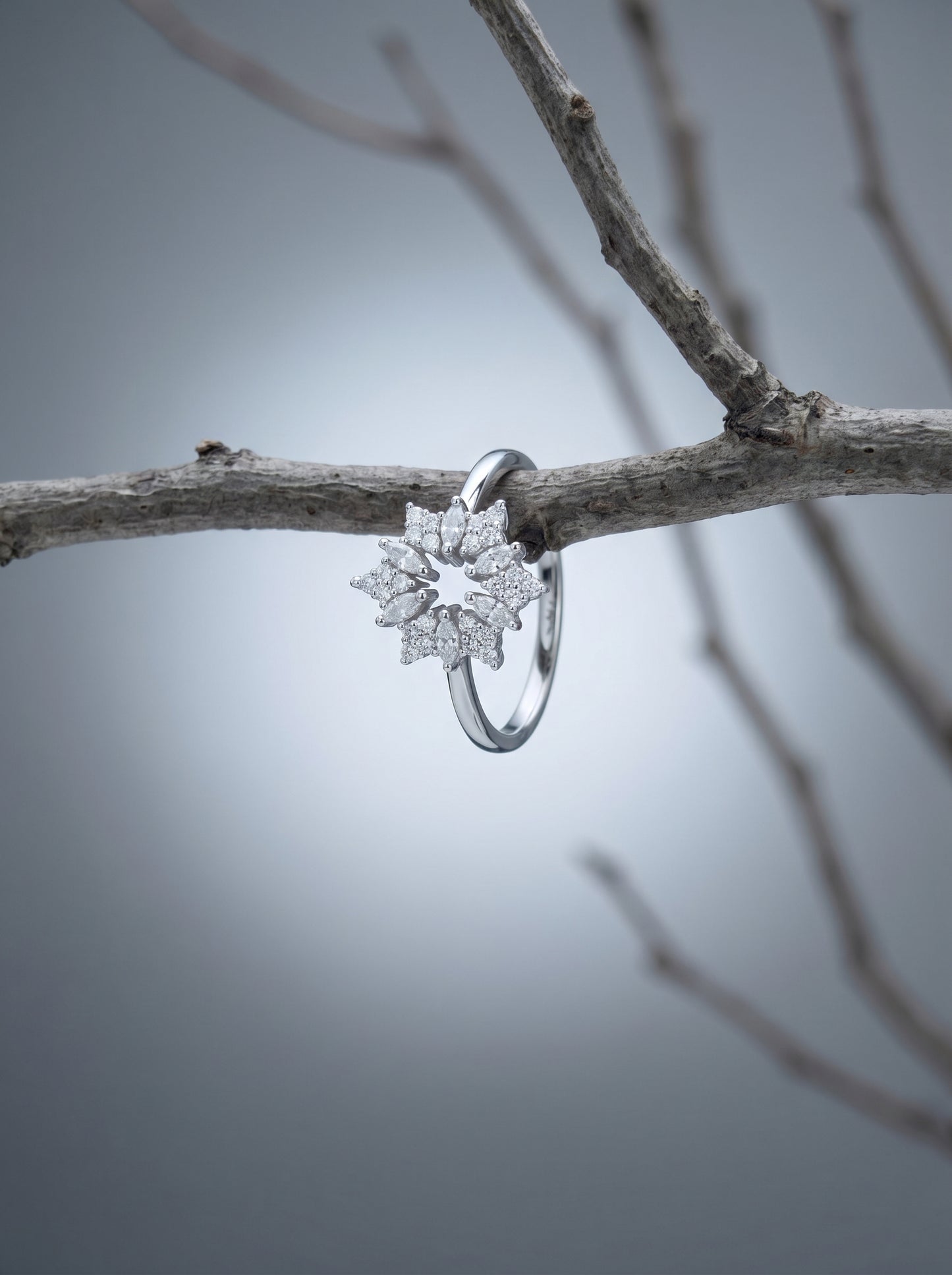 Celand Starflower Moissanite Ring | S925 Sterling Silver